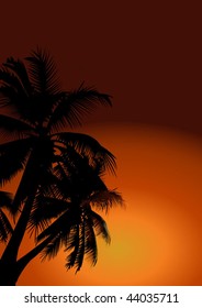 dark desert
