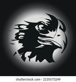 Dark Eagle eyes Vector Illustration 