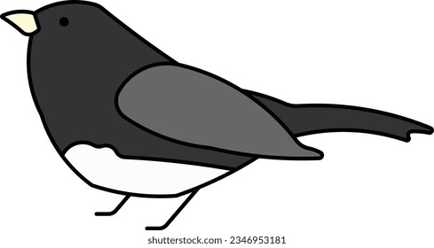 Dark eyed Junco Junco bird flying animal Outline