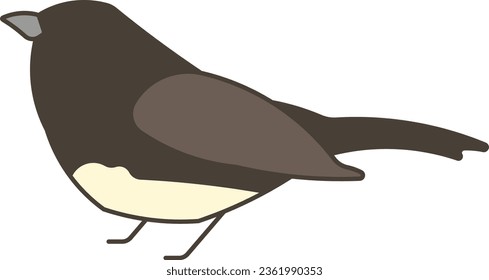 Dark eyed Junco Junco bird flying animal