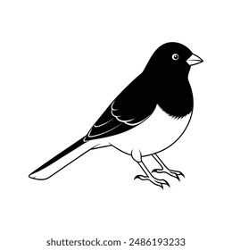 Dark eyed Junco black silhouette vector illustration