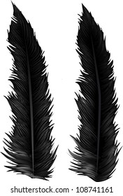 Dark Feathers