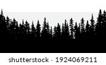 Dark forest. Natural abstract landscape background. Realistic vector illustration. Stock image. EPS 10.