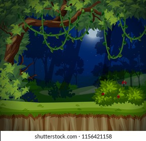 A dark forest at night illustration