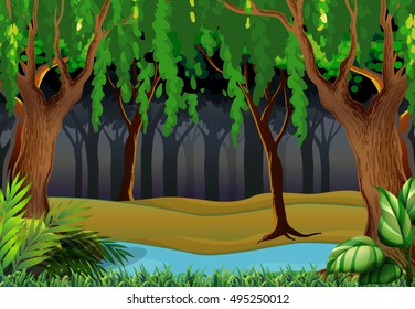 Dark forest scene 