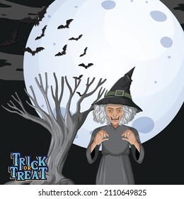 Dark forest scene with wicked old witch illustration