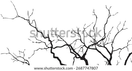 Dark, gnarled bare tree branches, intricate organic texture, forming a complex, sprawling pattern, natural detail.