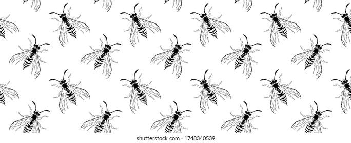 Dark gothic asp insect seamless wallpaper. Dangerous design for textile, fabric texture. Black line bugs cover on white backdrop. Vector Bumblebee drawing web banner. Wild Nature graphic print.