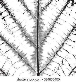 Dark Grainy Texture for your design. EPS10 vector.