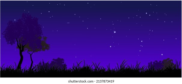 dark grass with night sky background