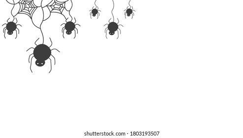 Dark gray spider and web isolated on white background for banner or party invitation background 