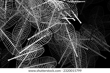 Similar – Image, Stock Photo gold eddies Plant Sunlight