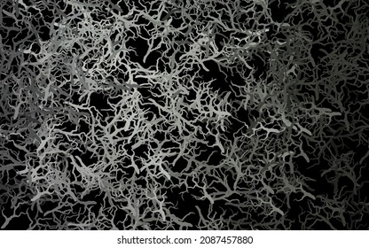 Dark Gray vector elegant background with leaves, branches. Modern abstract illustration with leaves and branches. Doodle design for your web site.