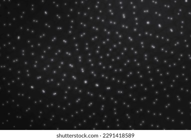 Dark Gray vector texture with disks. Blurred decorative design in abstract style with bubbles. Design for your business advert.