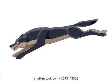 A dark gray Wolf runs after its prey. Cartoon character of a dangerous mammal animal. A wild forest creature with black fur. Side view. Vector flat illustration isolated on a white background.