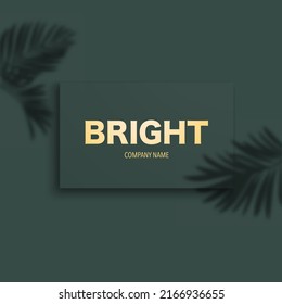 Dark green background with company visit card example and palm leaves shadow