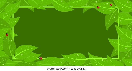 Dark Green Banner Frame With Red Ladybugs And Green Leaves With Water Drops Isolated Vector Illustration Background