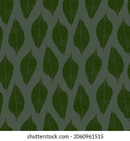 Dark green hardwood background. A vector hand drawn illustration. Emerald pattern of green spread out leaves, excellent packaging for eco friendly products, seamless pattern for fabric design.