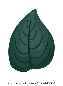 dark green leaf painting design of Natural floral nature and plant theme Vector illustration