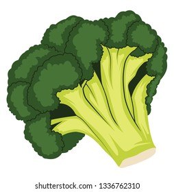 verde escuro e verde claro desenho animado de vetor de brócolis ilustração de legumes no fundo branco.