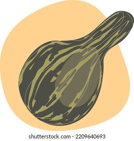 Dark green long pumpkin. Striped pumpkin. One line vector illustration. Harvest vegetables, vegetable garden.