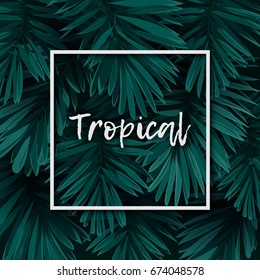 Dark green minimalistic vector design with exotic royal palm leaves.