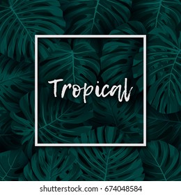 Dark green minimalistic vector design with exotic monstera palm leaves.
