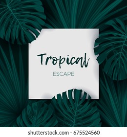 Dark green minimalistic vector design with exotic monstera palm leaves.