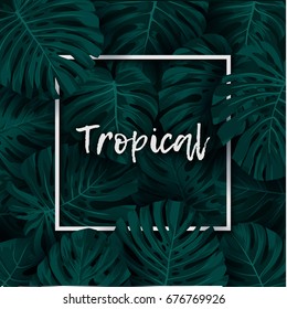 Dark green minimalistic vector design with exotic monstera palm leaves.