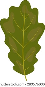 Dark green oak leaf in flat style mature autumn forest foliage clipart