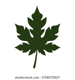 Dark green papaya leaf vector illustration isolated on transparent background.