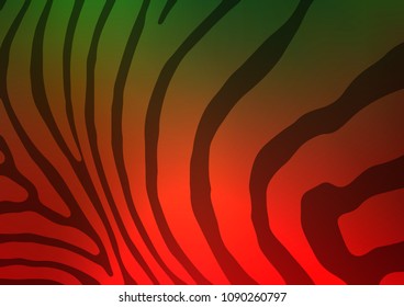 Dark Green, Red vector abstract doodle texture. Modern geometrical abstract illustration with doodles. A completely new design for your business.