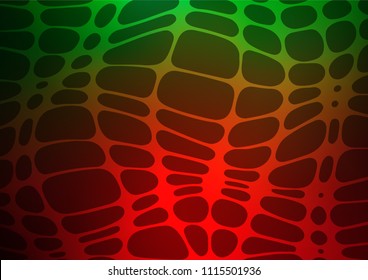 Dark Green, Red vector abstract doodle background. Modern geometrical abstract illustration with doodles. A completely new template for your business design.