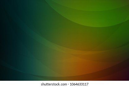 Dark Green, Red vector background with curved circles. Colorful abstract illustration with gradient lines. Pattern for your business design.