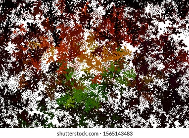 Dark Green, Red vector background with abstract shapes. Modern abstract illustration with colorful random forms. Modern design for your business card.