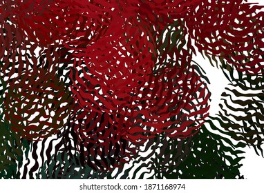 Dark Green, Red vector background with curved lines. Brand new colorful illustration in curved style. A sample for your ideas.