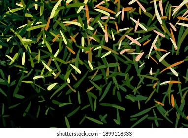 Dark Green, Red vector background with straight lines. Glitter abstract illustration with colorful sticks. Pattern for ads, posters, banners.