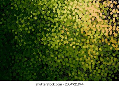 Dark Green, Red vector background with bubbles. Glitter abstract illustration with blurred drops of rain. Pattern for ads, leaflets.