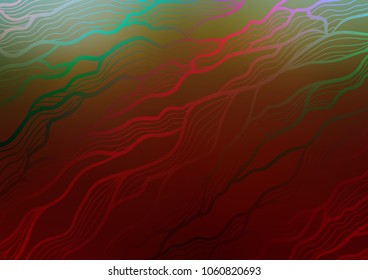 Dark Green, Red vector doodle blurred pattern. Shining colored illustration with doodles in Zen tangle style. Brand-new design for your business.