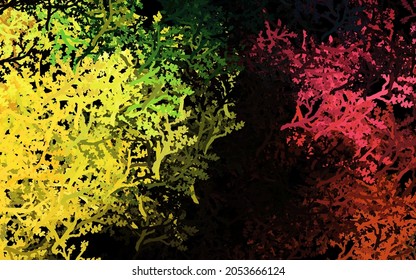 Dark Green, Red vectorial doodle con árboles, ramas. Una vaga ilustración abstracta con árboles al estilo de los garabatos. Patrón para jefes de sitios web, diseños.