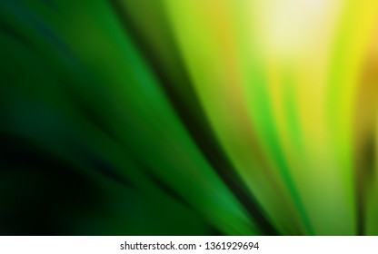 Dark Green, Red vector glossy abstract layout. Colorful abstract illustration with gradient. Blurred design for your web site.