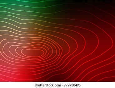 Dark Green, Red vector indian curved pattern. Colorful illustration in abstract style with doodles. The elegant pattern can be used as a part of a brand book.