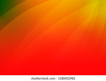 Dark Green, Red vector texture with colored lines. Decorative shining illustration with lines on abstract template. The pattern can be used for websites.