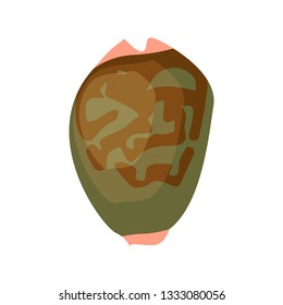 Dark green sea shell illustration. Mollusc, ocean, decoration. Nature concept. Vector illustration can be used for topics like ocean, sea, design, decoration