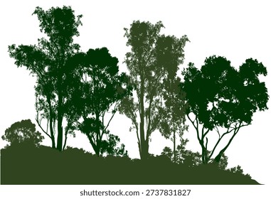 Dark green silhouettes of tall trees line a gentle hill, creating a natural landscape perfect for nature, environment, or outdoor lifestyle themes in stock catalogs.