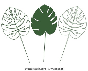 Dark green split-leaves isolated vector
