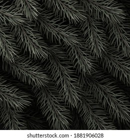Dark green spruce branches background. Vector illustration.