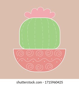 Plano suculento verde oscuro con cacerolas de formas geométricas rosadas , fondo rosa. un estilo sencillo, moderno y original.
