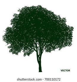 dark green tree silhouette on white background, vector illustration