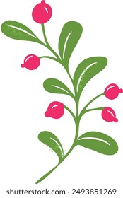 Dark green twig with pink berries, herb on transparent background